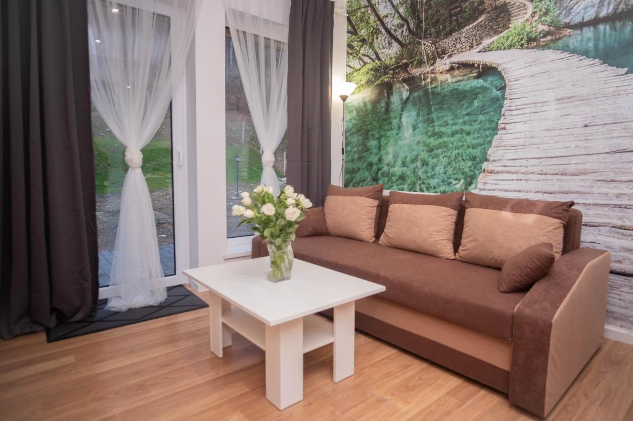 Apartamenty Goszowita Stronie Śląskie Εξωτερικό φωτογραφία