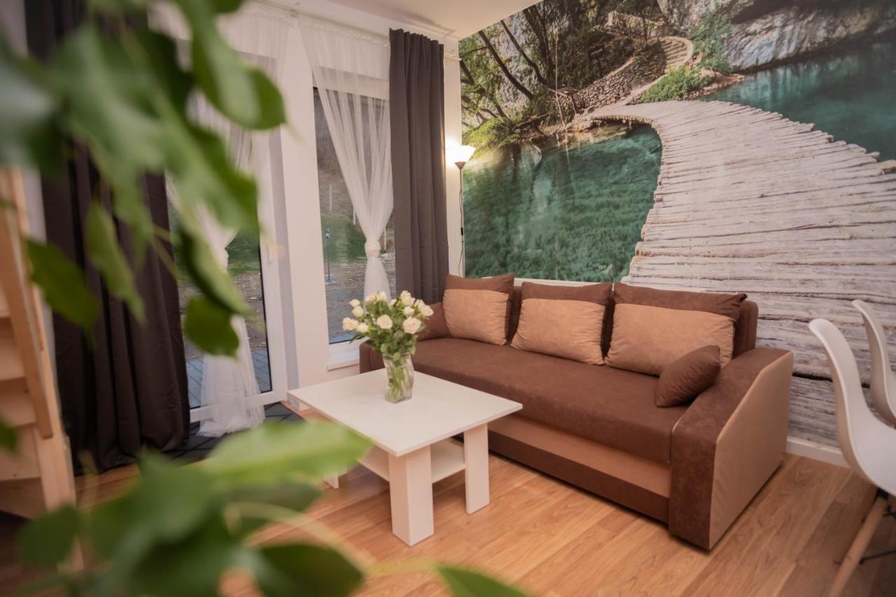 Apartamenty Goszowita Stronie Śląskie Εξωτερικό φωτογραφία
